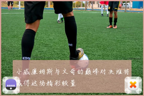 小威廉姆斯与文奇的巅峰对决谁将赢得这场精彩较量