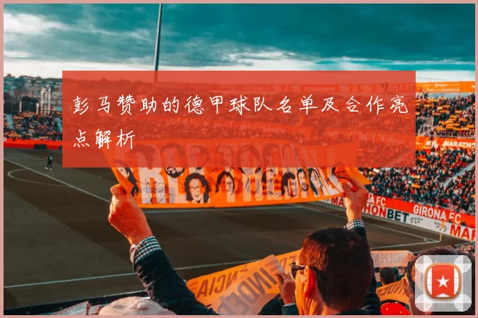 彭马赞助的德甲球队名单及合作亮点解析