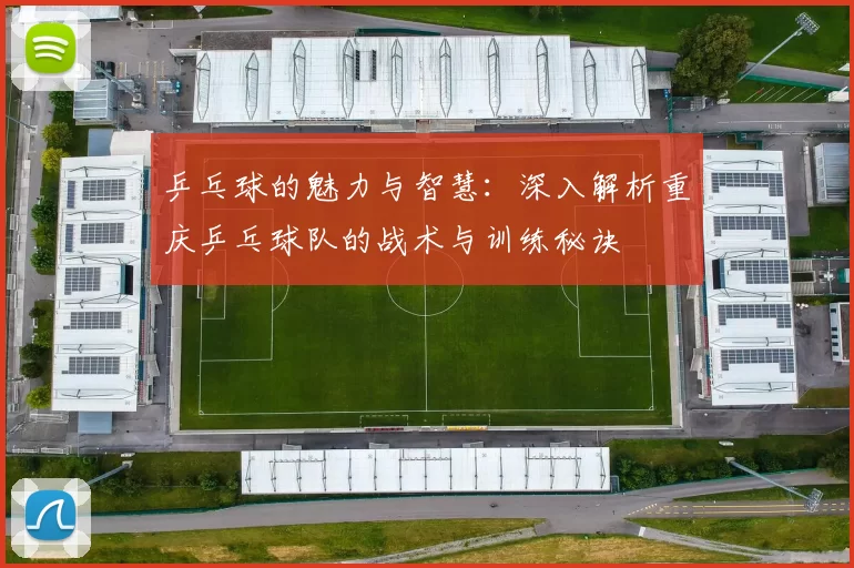 乒乓球的魅力与智慧：深入解析重庆乒乓球队的战术与训练秘诀