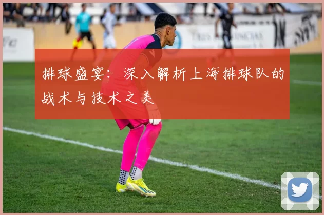 排球盛宴：深入解析上海排球队的战术与技术之美