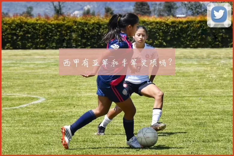 西甲有亚军和季军奖项吗？