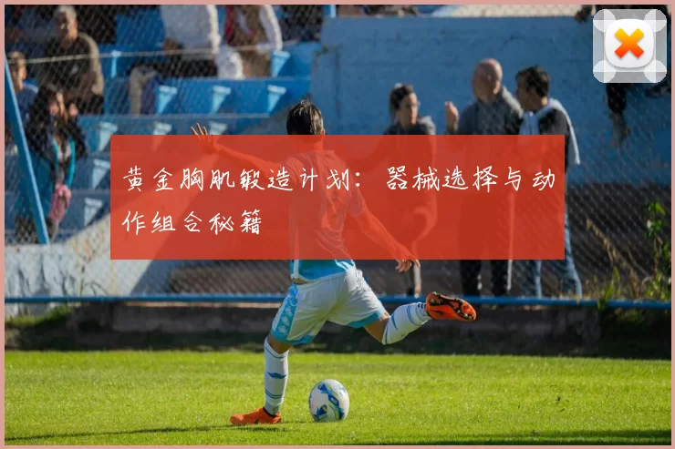 黄金胸肌锻造计划：器械选择与动作组合秘籍