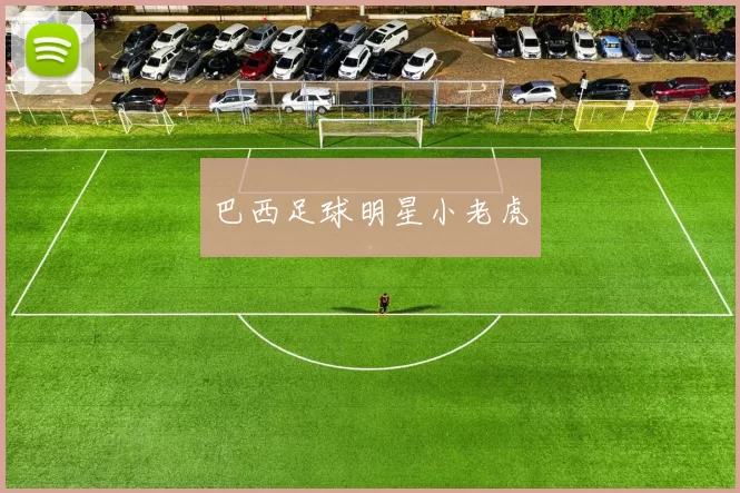巴西足球明星小老虎