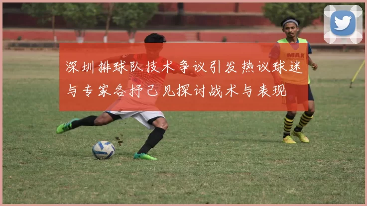 深圳排球队技术争议引发热议球迷与专家各抒己见探讨战术与表现