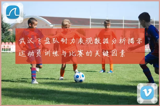 武汉飞盘队耐力表现数据分析揭示运动员训练与比赛的关键因素