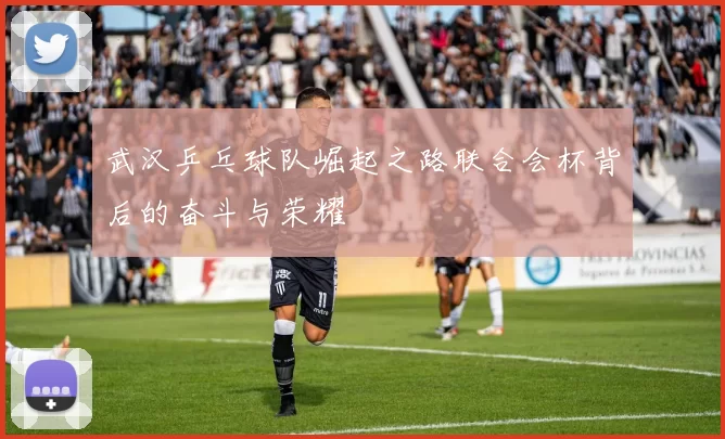 武汉乒乓球队崛起之路联合会杯背后的奋斗与荣耀