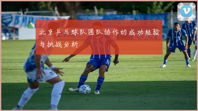 北京乒乓球队团队协作的成功经验与挑战分析