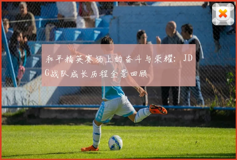 和平精英赛场上的奋斗与荣耀：JDG战队成长历程全景回顾